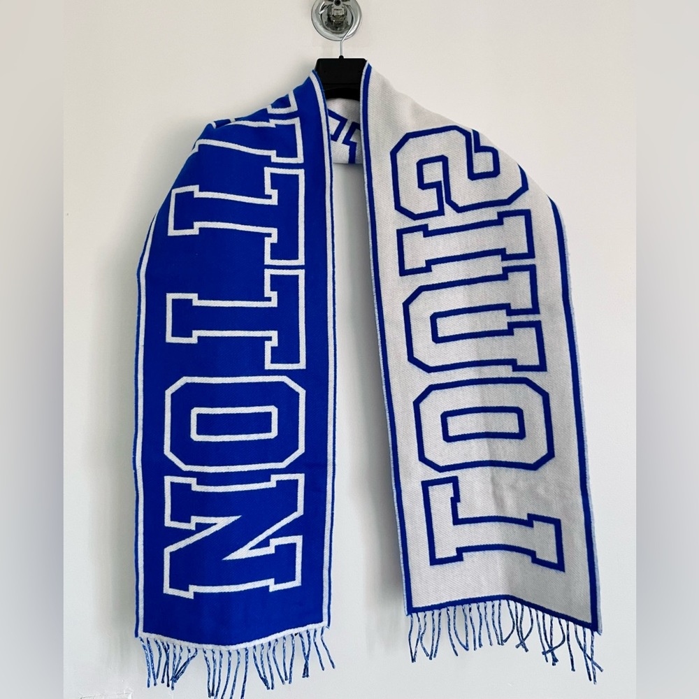Louis Vuitton Blue x White City Scarf